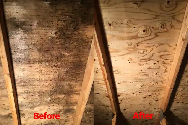 water damage restoration service Iron River